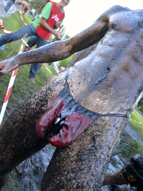 Poldercross Warmond 2013 – Posing for the camera