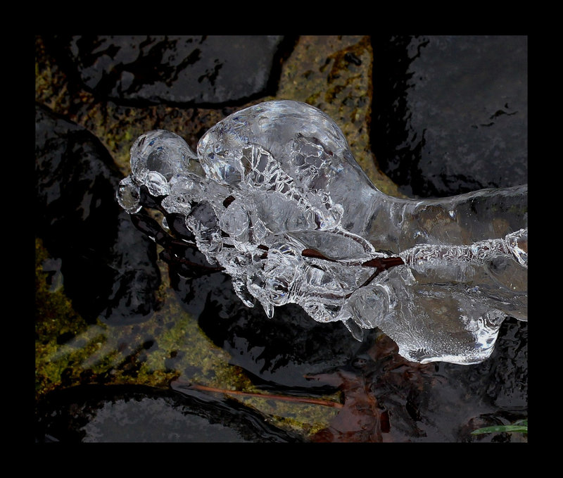 L'âge de glace  (5)