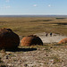 Landscape of Red Rock Coulee