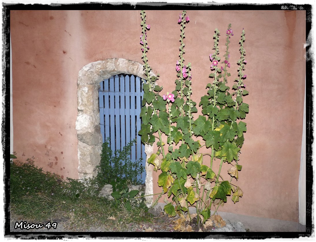 MOUSTIERS-SAINTE-MARIE