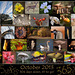 365 Project: October Collage