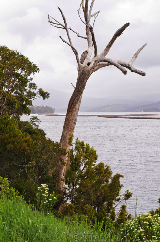 Along the Huon River estuary