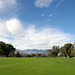 Sunnylands - Annenberg Estate (3527)