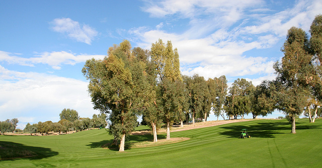 Sunnylands - Annenberg Estate (3535)