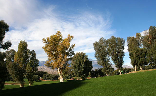 Sunnylands - Annenberg Estate (3536)