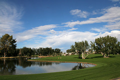 Sunnylands - Annenberg Estate (3540)