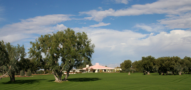 Sunnylands - Annenberg Estate (3541)