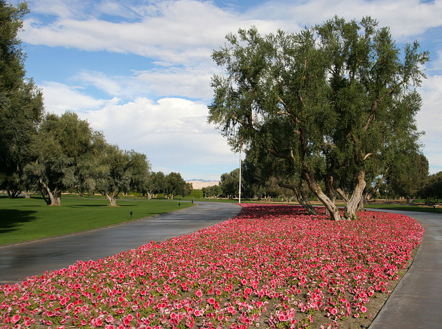 Sunnylands - Annenberg Estate (3546)