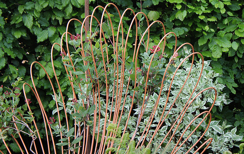 Voir les sons , entendre les couleurs -Jardin 7 (14)