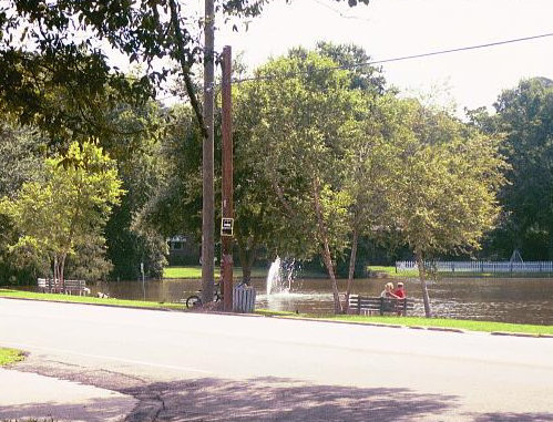 San Jose Ave. duck pond