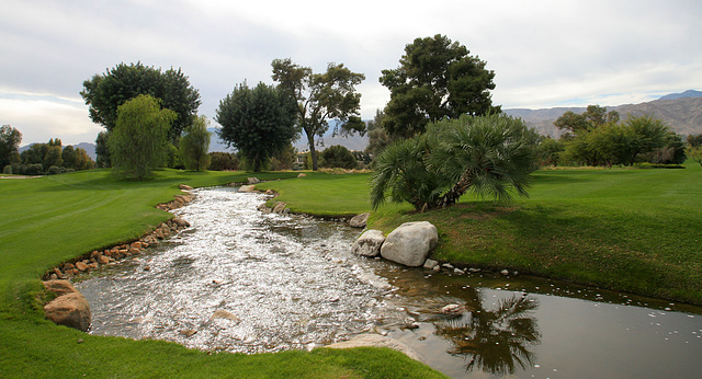 Sunnylands - Annenberg Estate (3587)