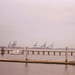 Jacksonville shipyards
