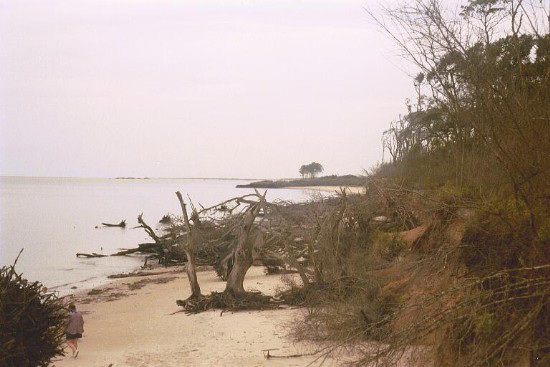 Big Talbot Island