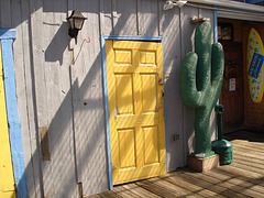 Bacardi door & cactus / Cactus et porte bacardi.