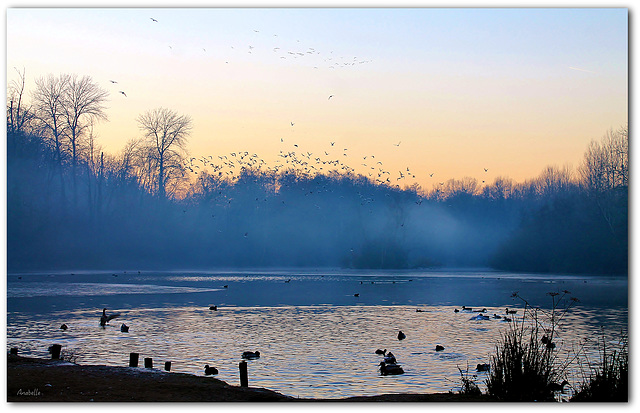 Brume hivernale