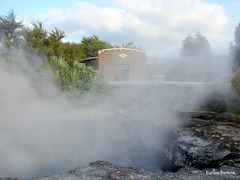 A hot pool, Rotorua