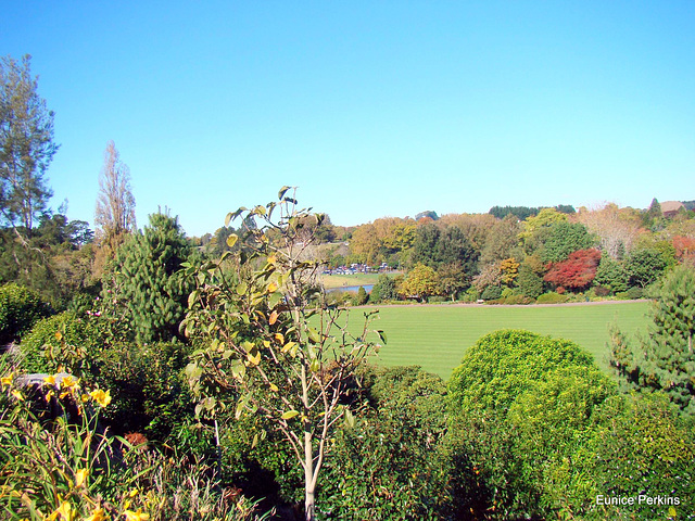 Looking toward river