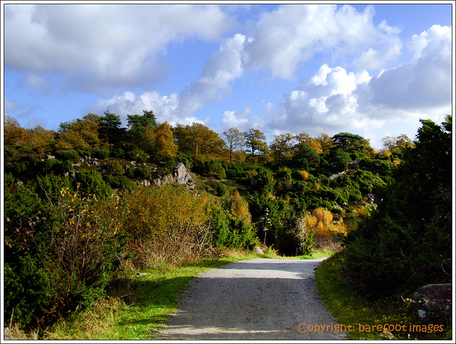 radweg im ravnedalen