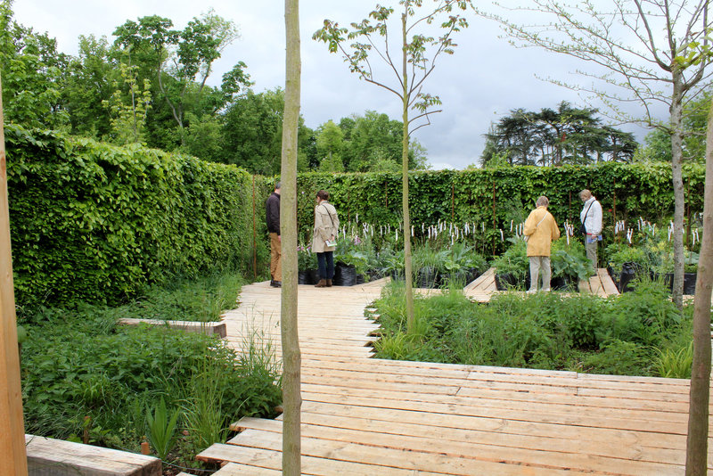 Qui s'y frotte s'y pique - Jardin 16 (3)