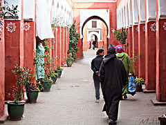 La Medina de Marrakech.