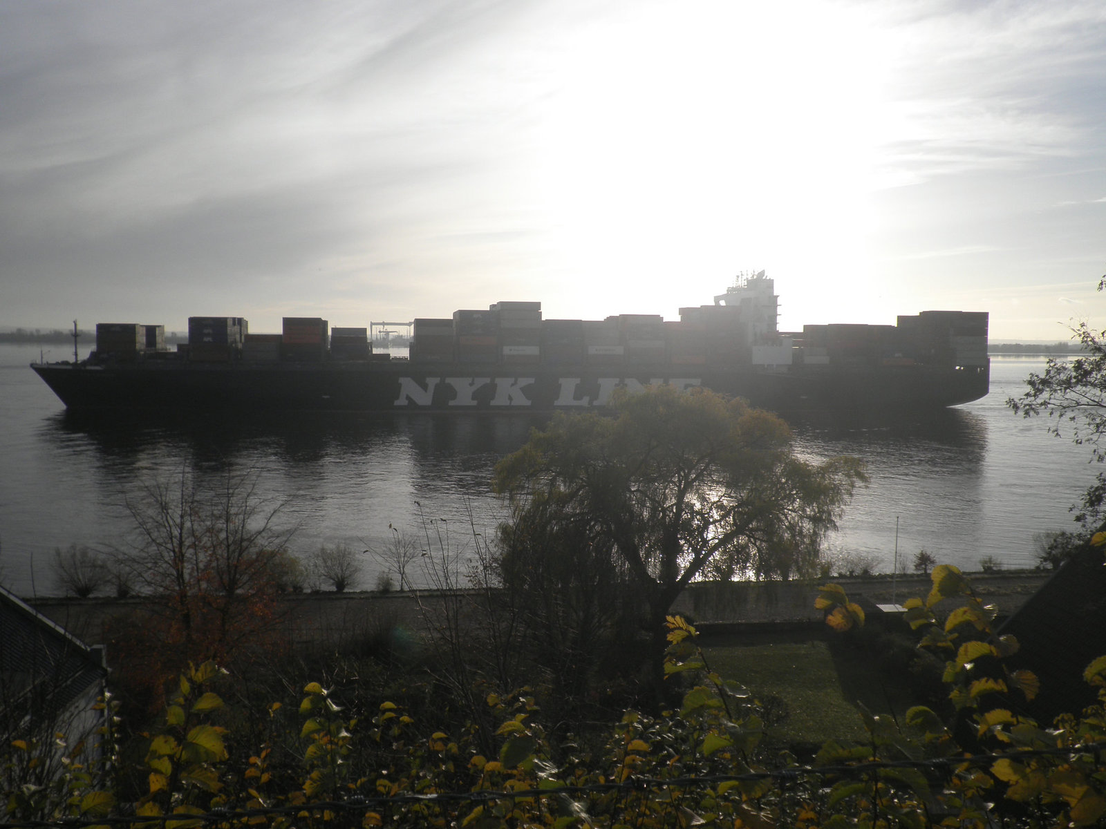 NYK ADONIS  passiert  Blankenese