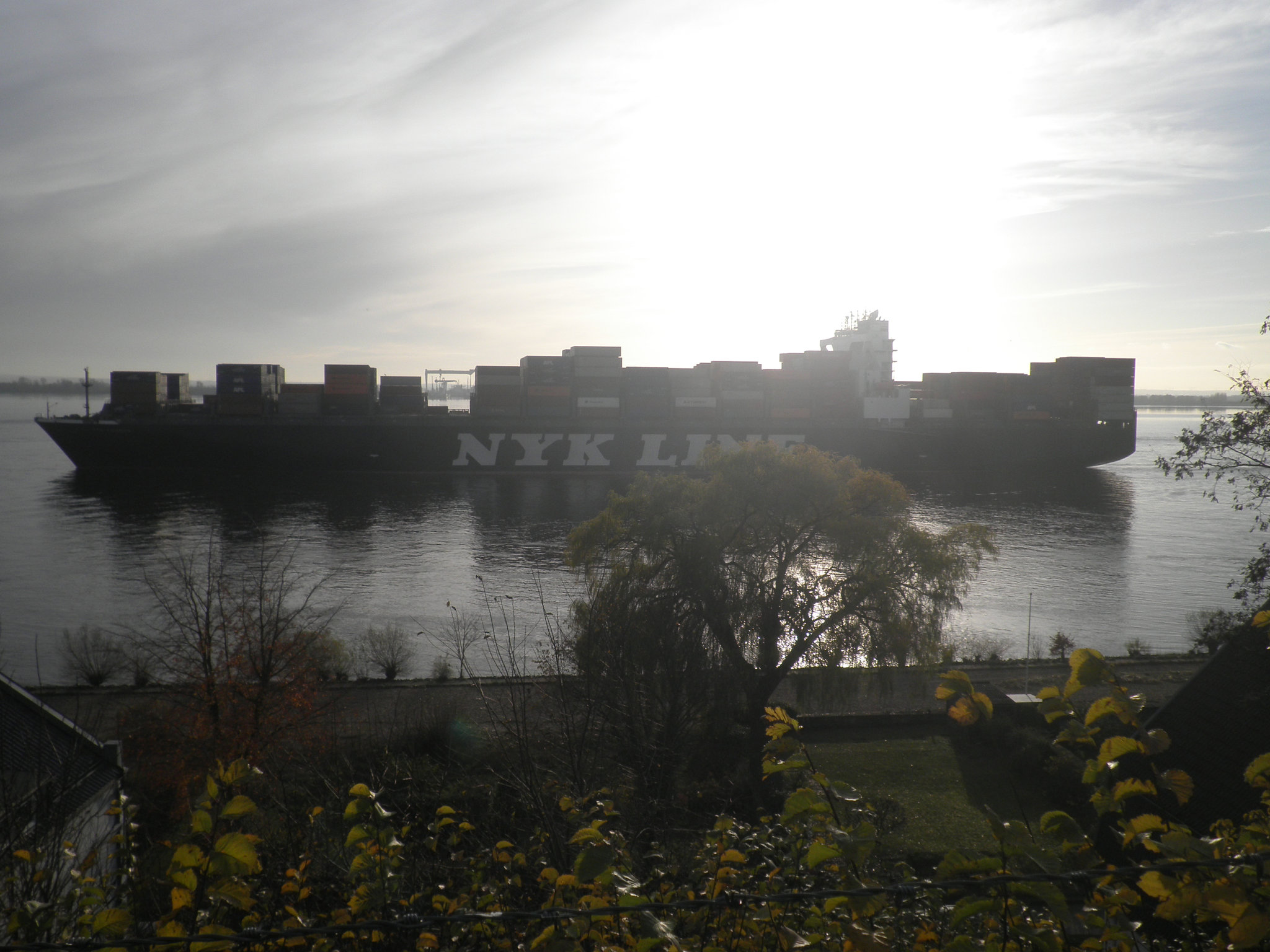 NYK ADONIS  passiert  Blankenese