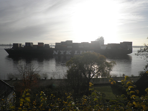 NYK ADONIS  passiert  Blankenese