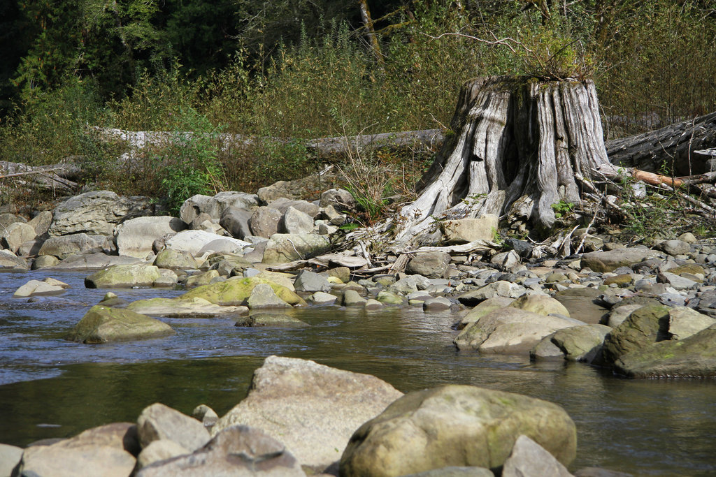 Racehorse Creek