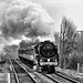 The Great Northern 70013 passes Thorne South station 28th February 2009