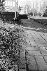 Where the daffies aren't