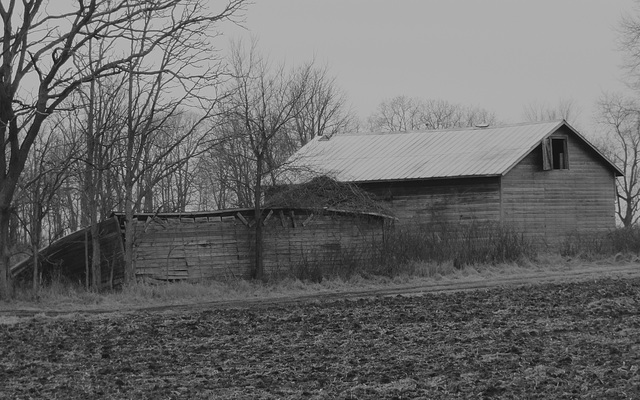 Barns, M-43