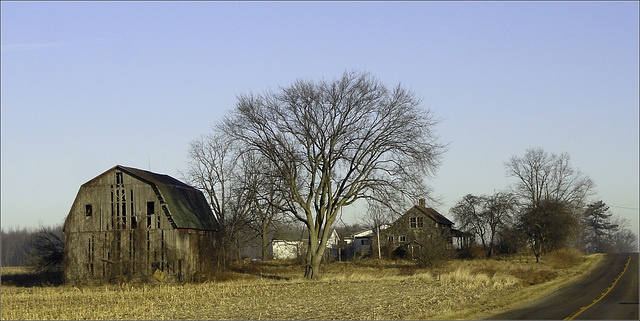 Farm, Dow Road
