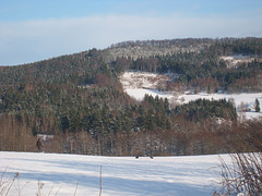 Bei Waltersdorf / Oberlausitz