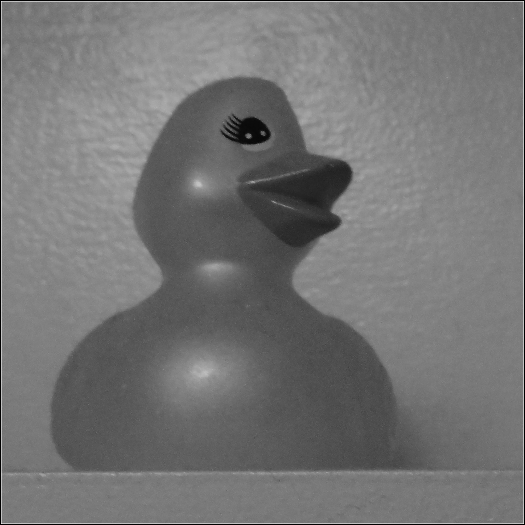 Just Ducky