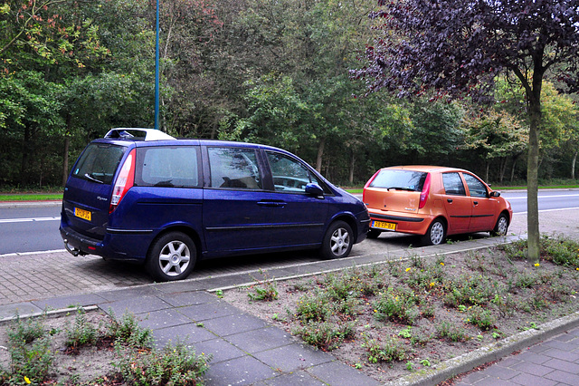 Two Fiats