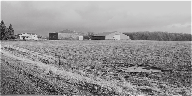 Two Barns and a House