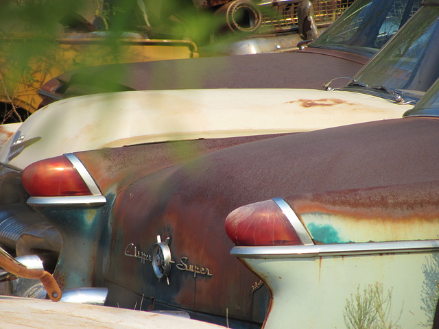 1955 Packard Clipper Super