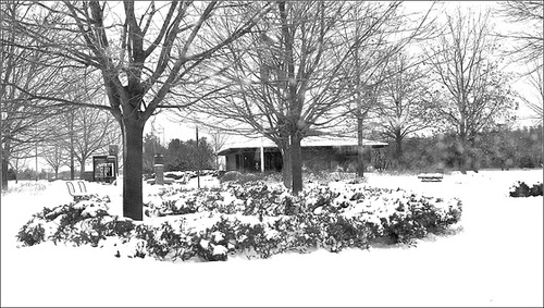 Morley Rest Area