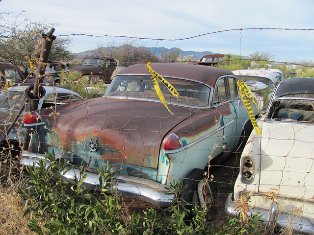 1955 Packard Clipper Super