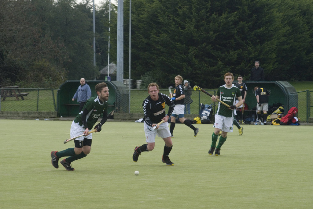 Fingal vs Kilkenny, Railway Cup 231113