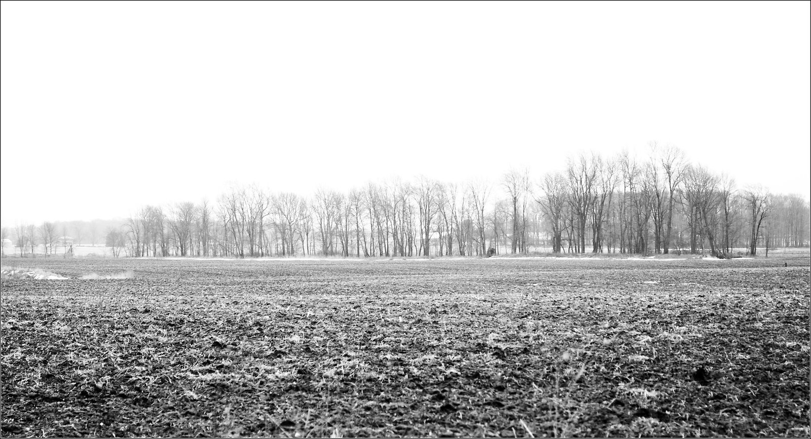 Windbreak