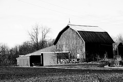 Barn, Needmore Highway