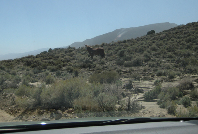 Red Rock Mine 76