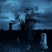 Unknown dimension of a cemetery / Dimension inconnu d'un cimetière ....