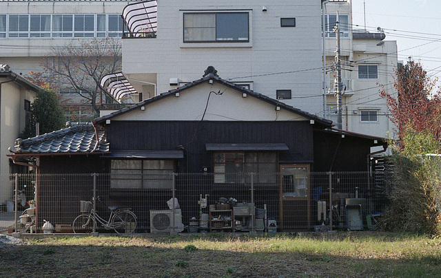 Home among the buildings