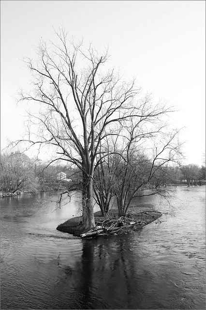 An Island in the Stream