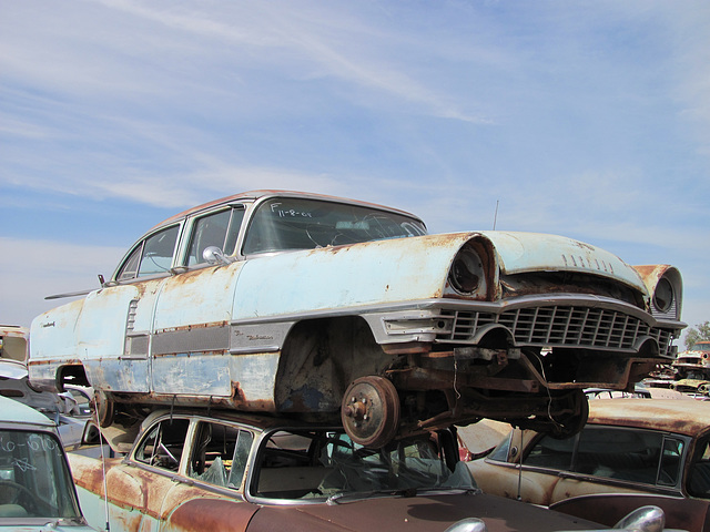 1955 Packard Patrician