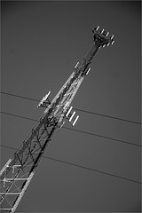 The Cell Tower