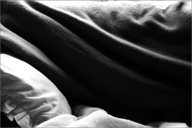 Shadow and Light