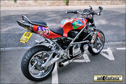 1980 Suzuki - NGN 300V
